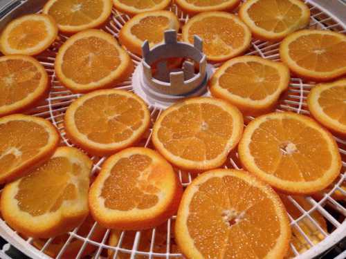 Как засушить апельсины для декора